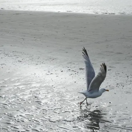 아파트 In Near Sea Dike, Cleaning Included 코크시데