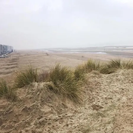 In Near Sea Dike, Cleaning Included 코크시데