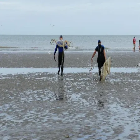 In Near Sea Dike, Cleaning Included