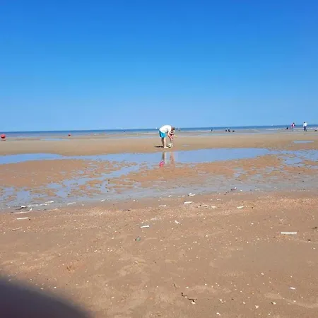 In Near Sea Dike, Cleaning Included 아파트
