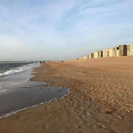 Apartament In Near Sea Dike, Cleaning Included *