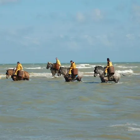 In Near Sea Dike, Cleaning Included 아파트 *