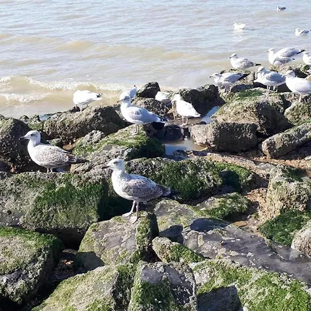 아파트 In Near Sea Dike, Cleaning Included