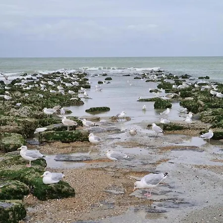 In Near Sea Dike, Cleaning Included Apartament *